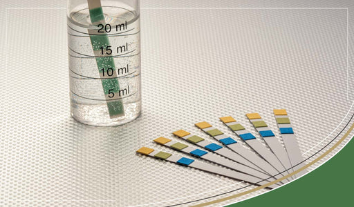 Can changing urine pH from acidic to slightly alkaline benefit bladder health?