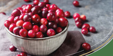 Can Cranberry Really Prevent UTI?