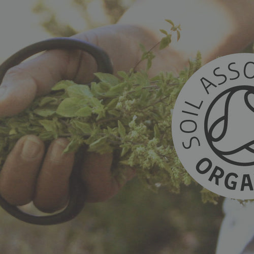oregano oil c80