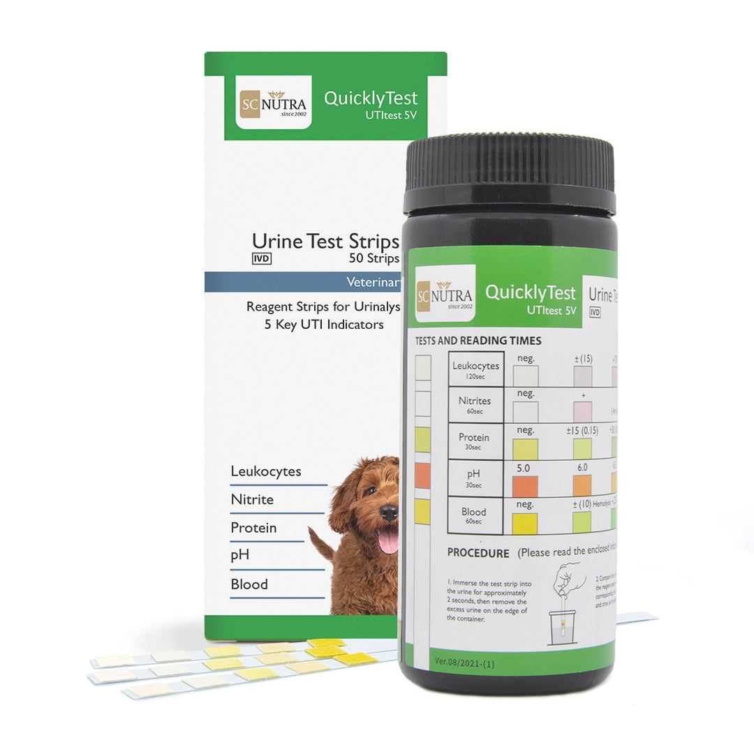 Quickly Test Veterinary Urinalysis Strips for Cats & Dogs