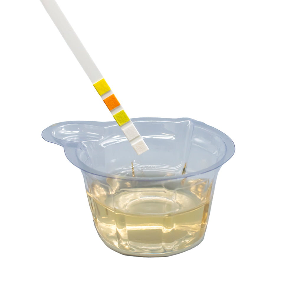 Quickly Test Urine Specimen Collection Cups